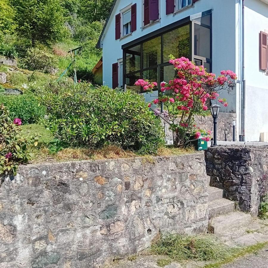 Gite Monts Et Merveilles Mollau エクステリア 写真