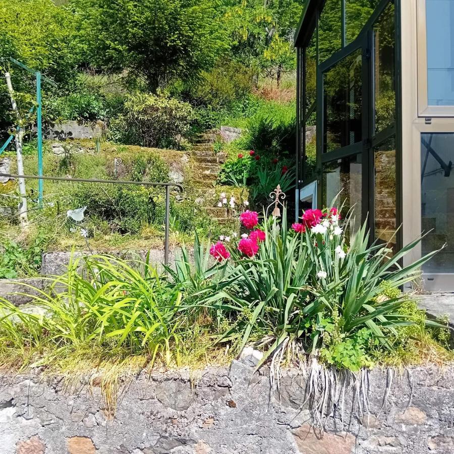 Gite Monts Et Merveilles Mollau エクステリア 写真