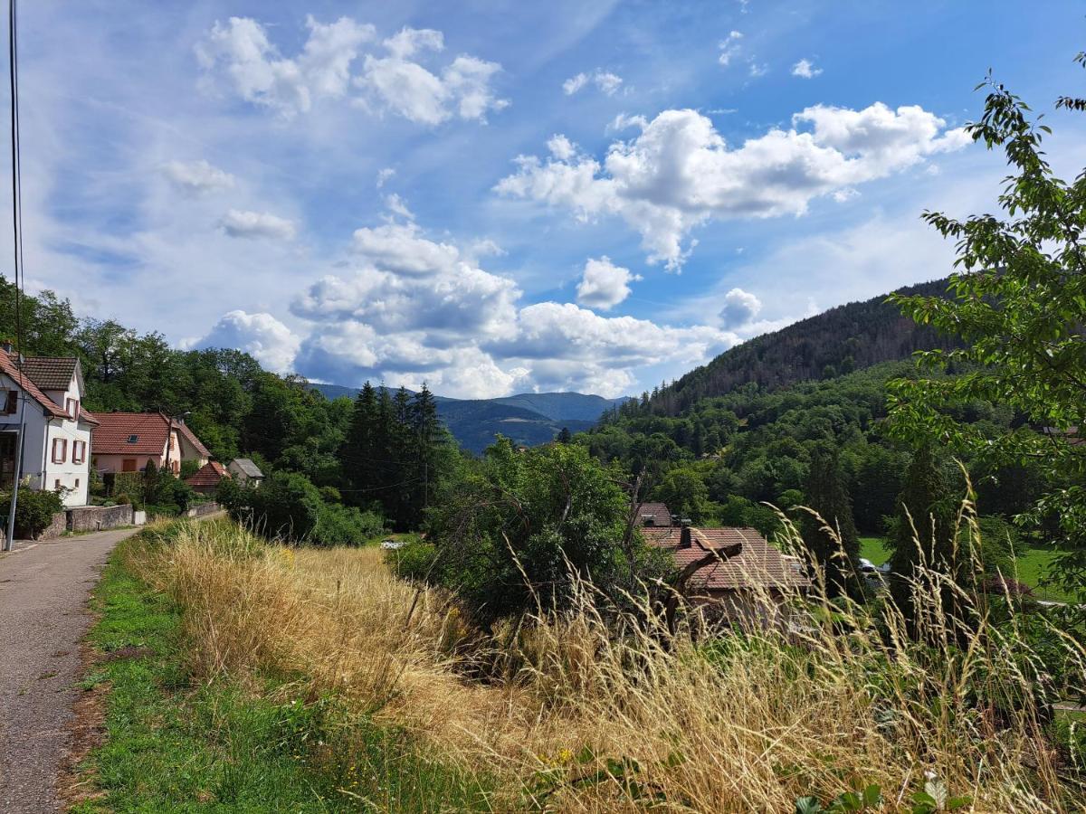 Gite Monts Et Merveilles Mollau エクステリア 写真