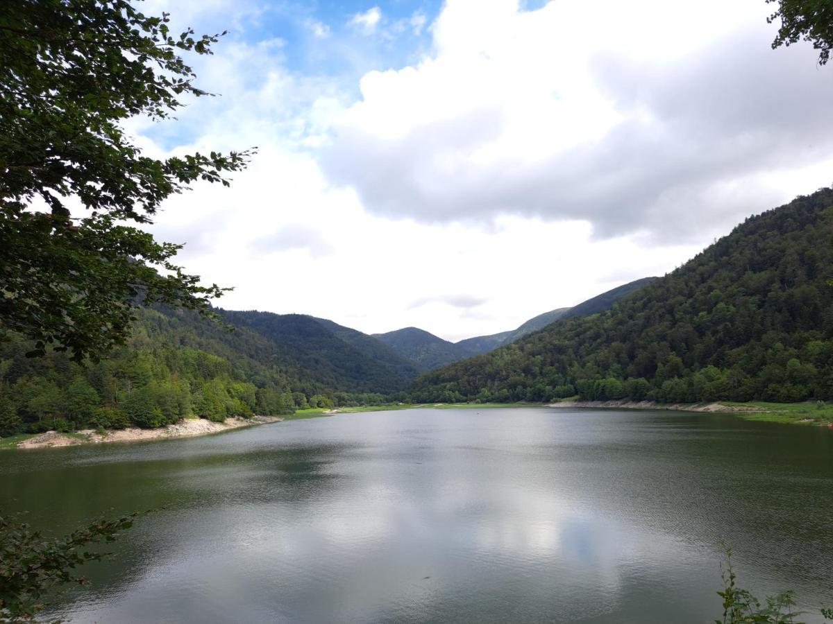 Gite Monts Et Merveilles Mollau エクステリア 写真