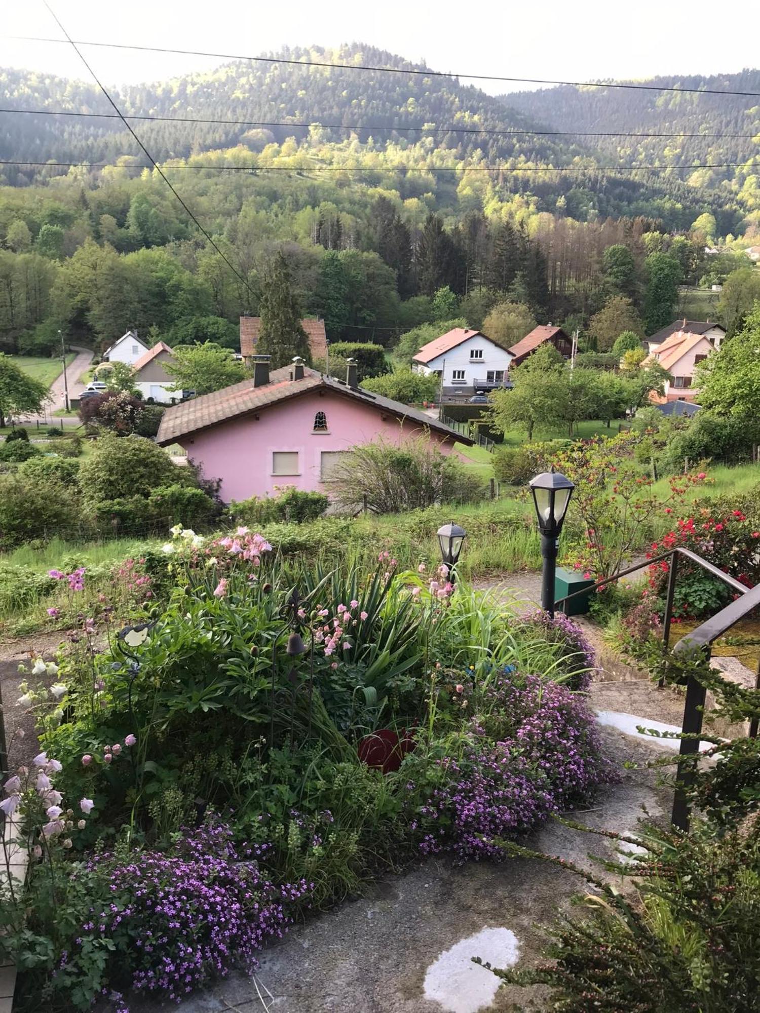 Gite Monts Et Merveilles Mollau エクステリア 写真